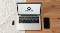 Qubes OS Security In The Public Record